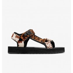 D.FRANKLIN Forest Animal Multi DFSH361017-MULT-36