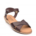 Liberitae 11819861 Brown